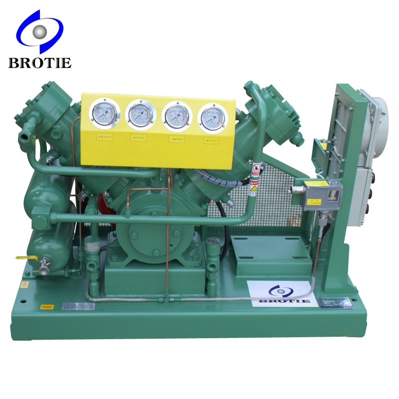 Totally Oil-Free Special Gas Compressor Booster (H2, CO2, SF6, N2O, CH4, SF6)